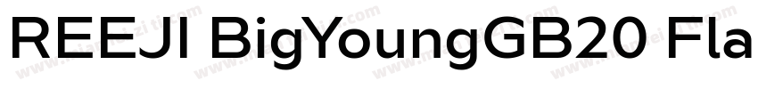 REEJI BigYoungGB20 Flash Medium字体转换